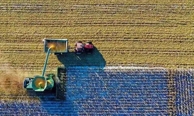 農(nóng)產(chǎn)品初加工技術與設備